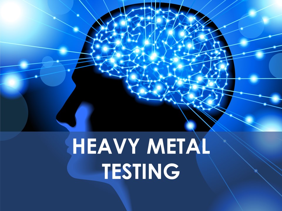 Heavy Metal Testing, Brain Health , Alzheimer', Fatigue, Autoimmune Ottawa
